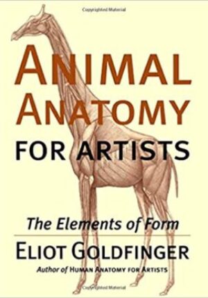 Animal anatomy for artists : the elements of form